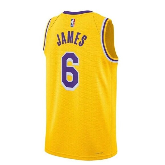 Nike Los Angeles Lakers Swingman Jersey Mens XL LeBron James #6 Icon Edition - Picture 7 of 10